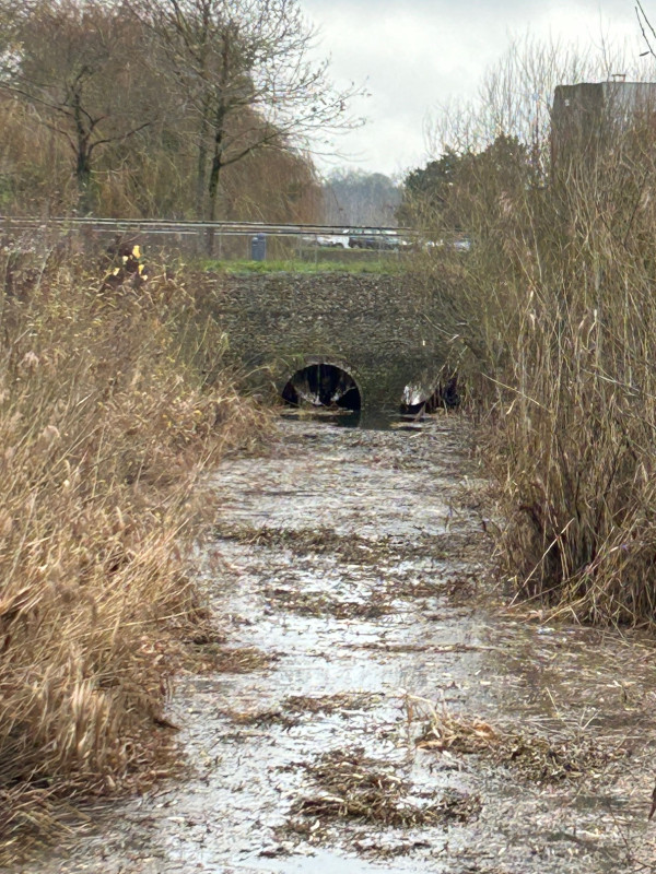 SP Serviceloc - création mur en pierre avant