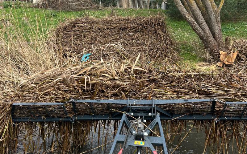 SP Faucardage - Faucardage