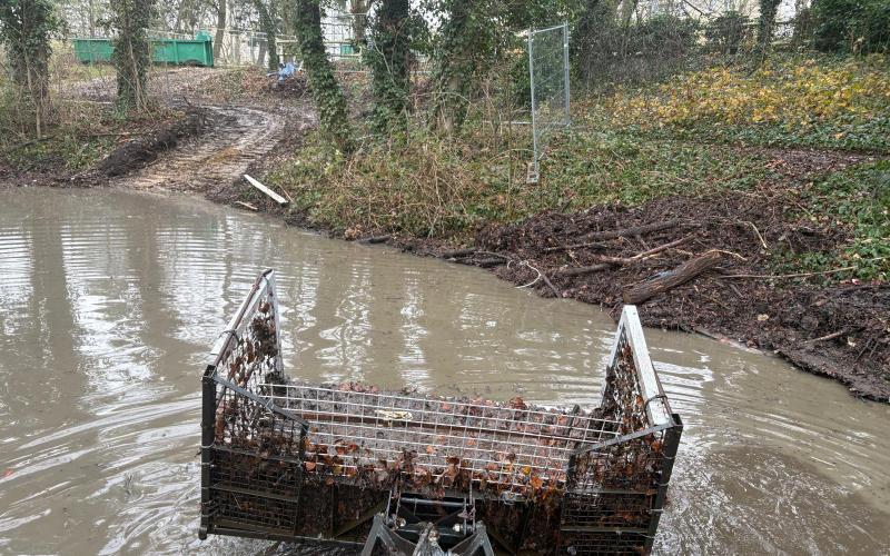 SP Faucardage - Curage