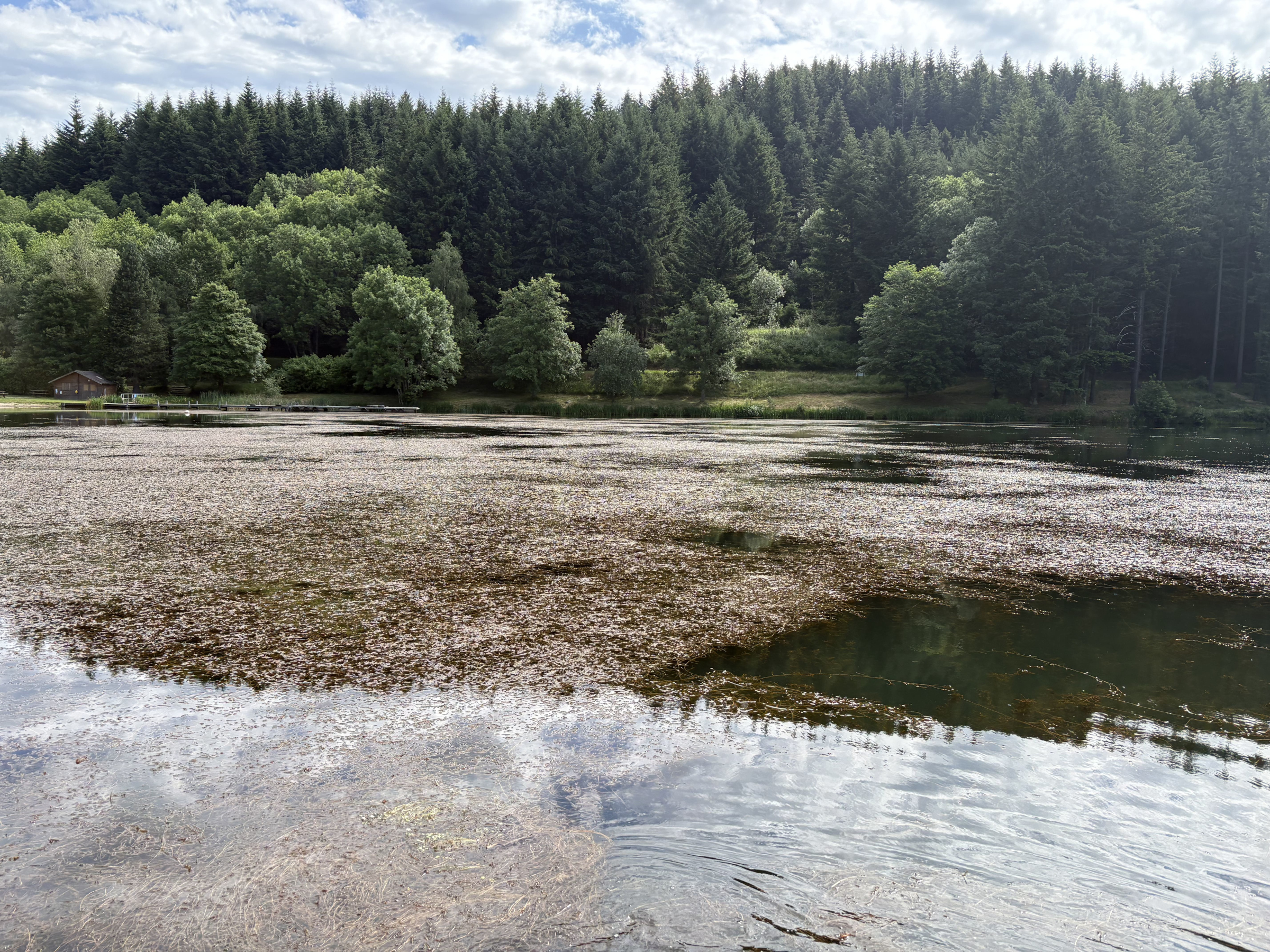 Arrachage - Lac privé Drôme