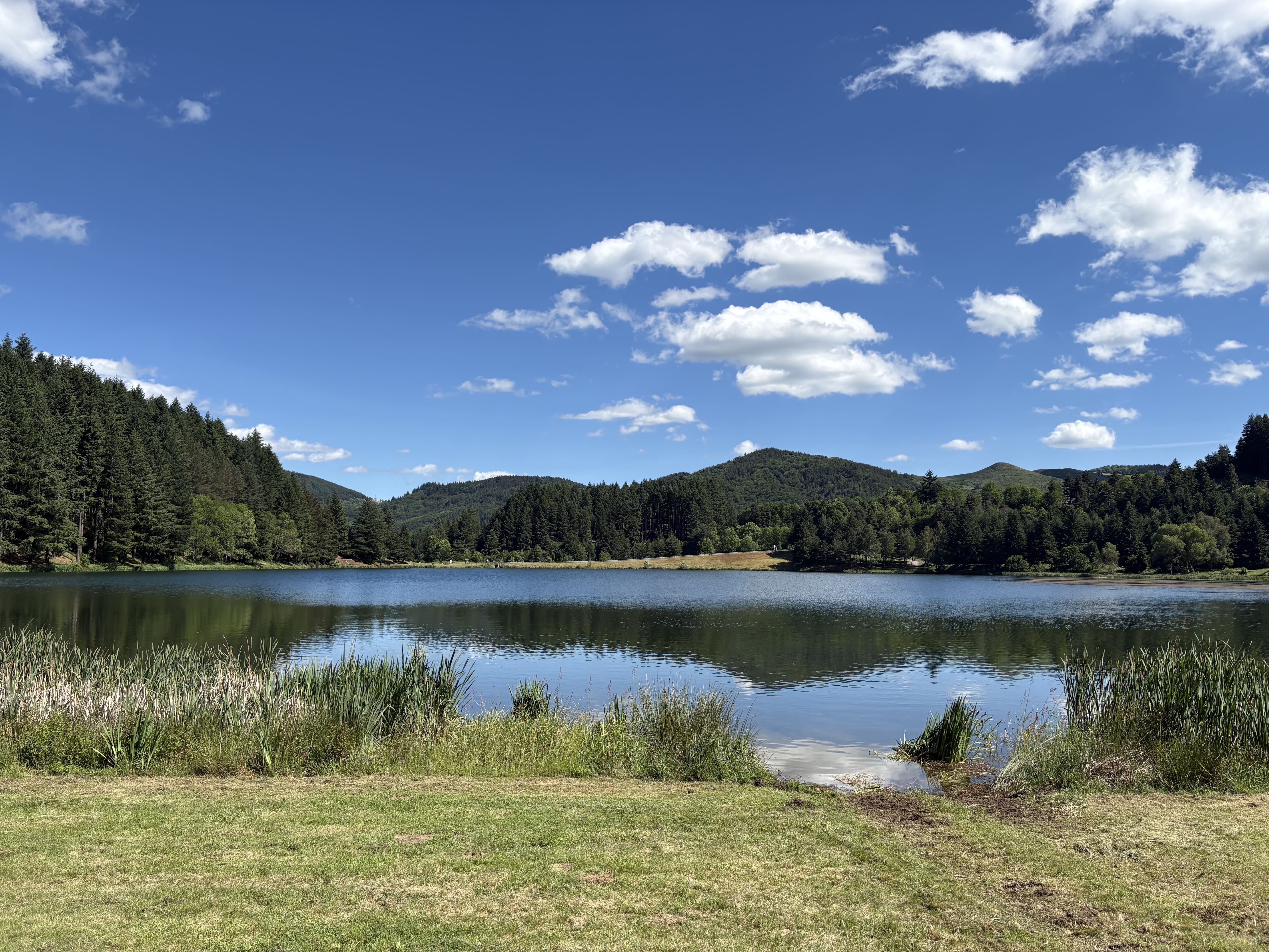 Arrachage - Lac de Saint Martial