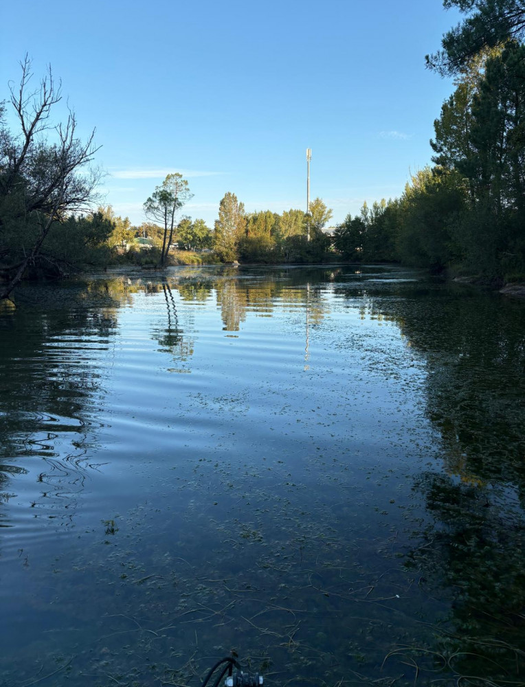 WhatsApp Image 2026-01-17 at 18.43.09.jpeg