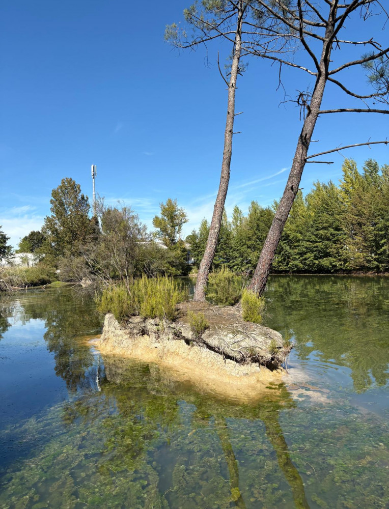 WhatsApp Image 2026-01-17 at 18.43.11 (2).jpeg