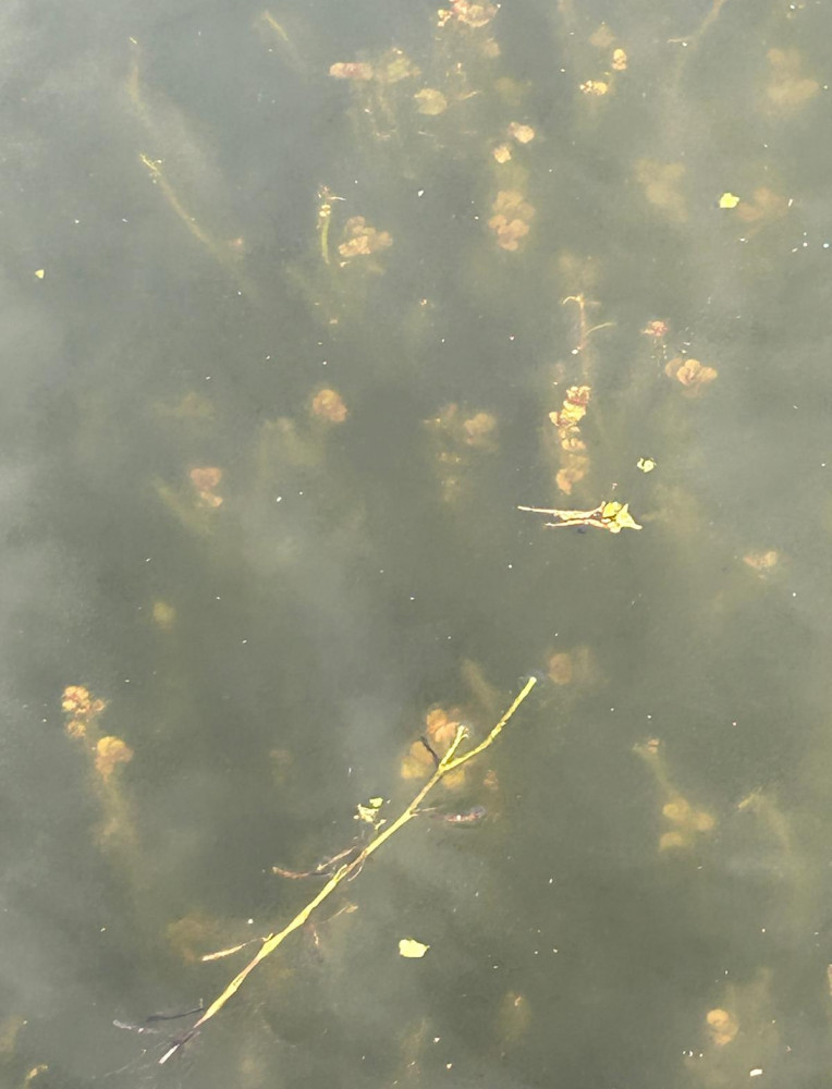 WhatsApp Image 2026-01-17 at 18.47.23 (1).jpeg