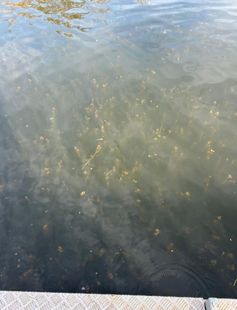 WhatsApp Image 2026-01-17 at 18.47.23.jpeg