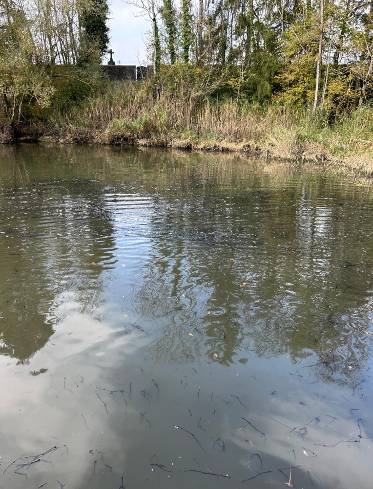 WhatsApp Image 2026-01-17 at 18.51.28 (6).jpeg