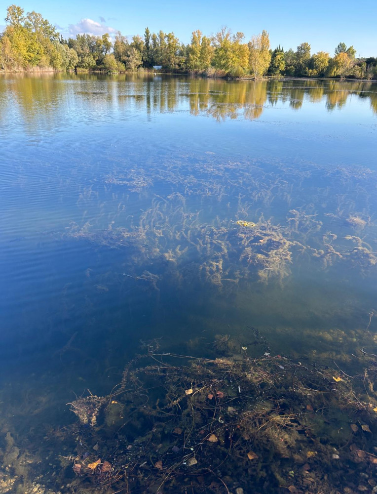 WhatsApp Image 2026-01-17 at 18.52.38 (3).jpeg