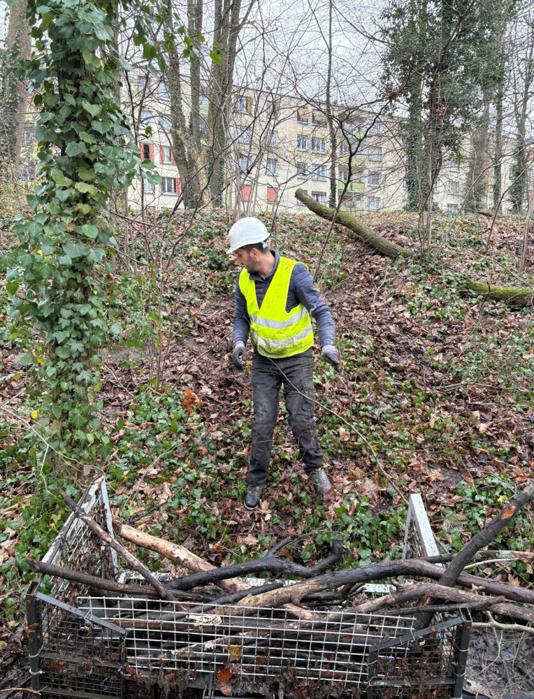 WhatsApp Image 2026-01-30 at 10.50.00.jpeg