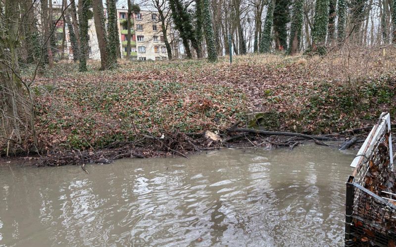 WhatsApp Image 2026-01-30 at 10.50.08 (2).jpeg